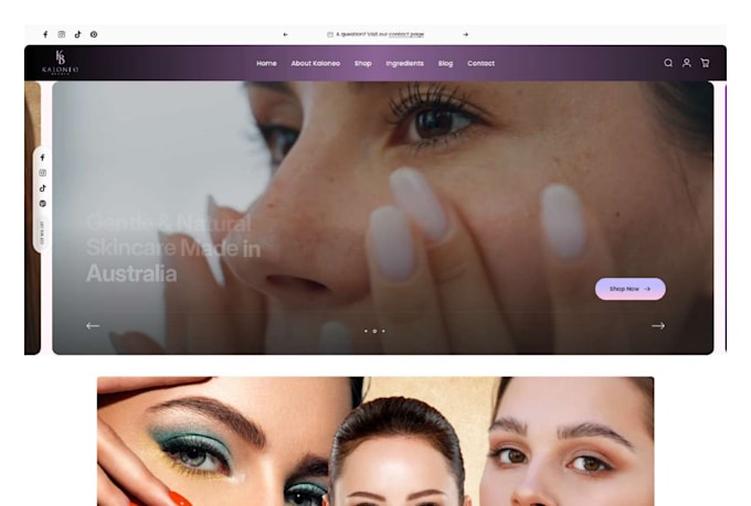 build a professional shopify website development or shopify store design